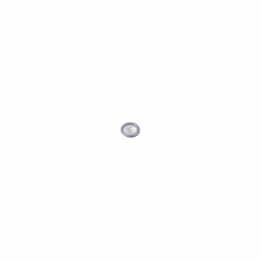 Genuine BMW 64508390600 E65 RR1 Gasket Ring (Inc. 750iLP, 745d & Phantom)