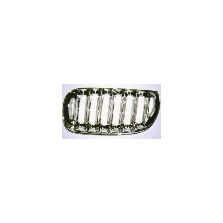 Abakus 00424404 Radiator Grille for BMW X3 (E83)