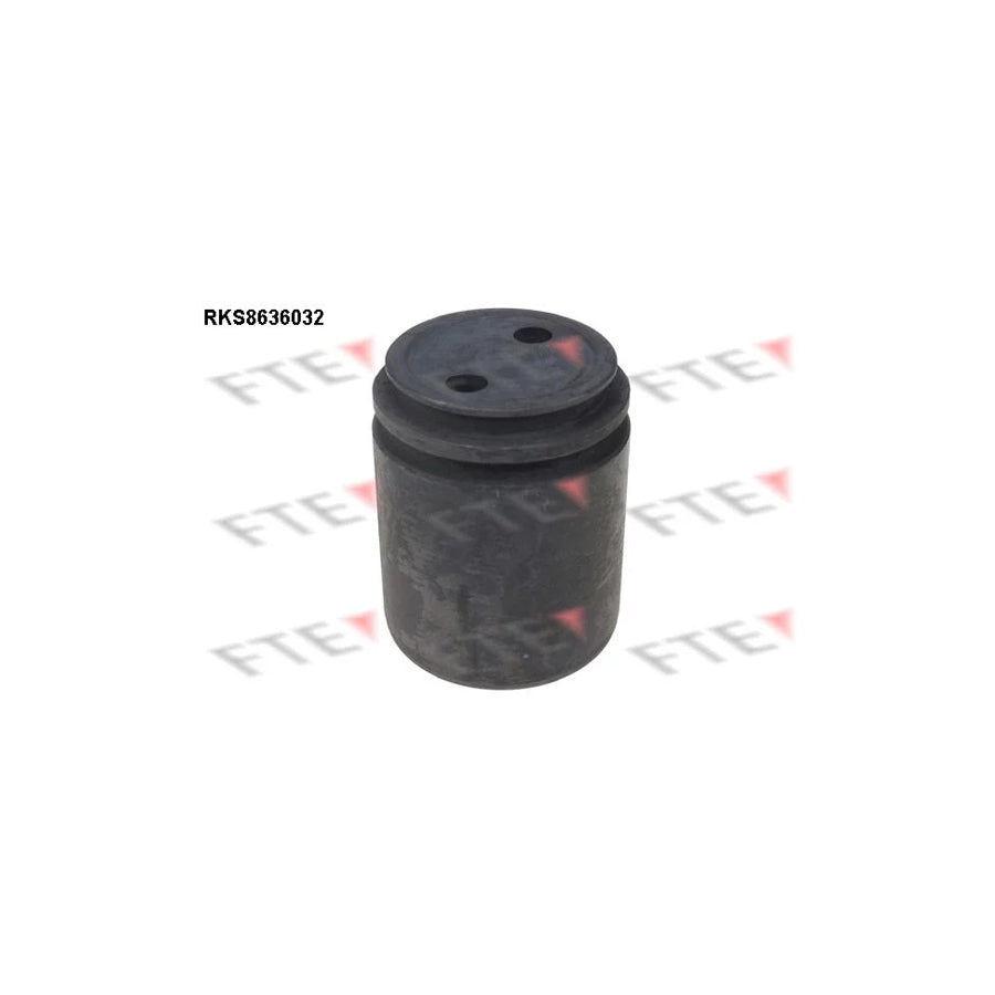 FTE 9313341 Piston, Brake Caliper