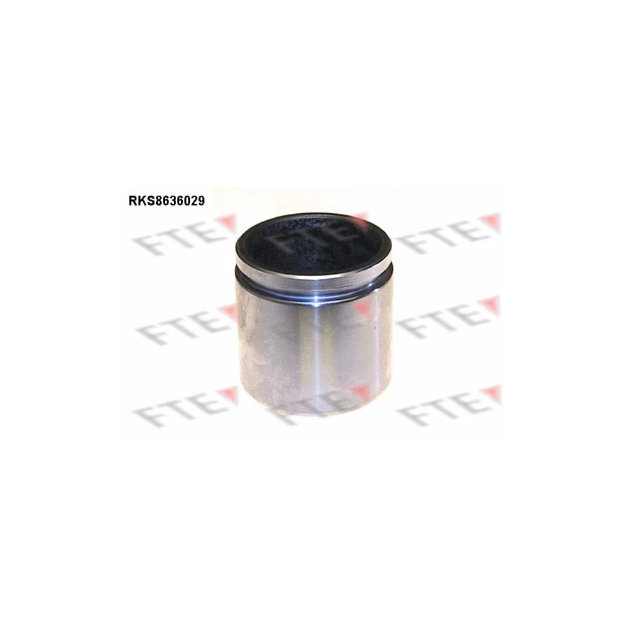 FTE 9313340 Piston, Brake Caliper