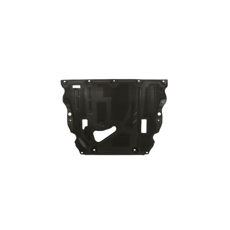Blic 6601-01-5507814P Repair Panel for PEUGEOT 206