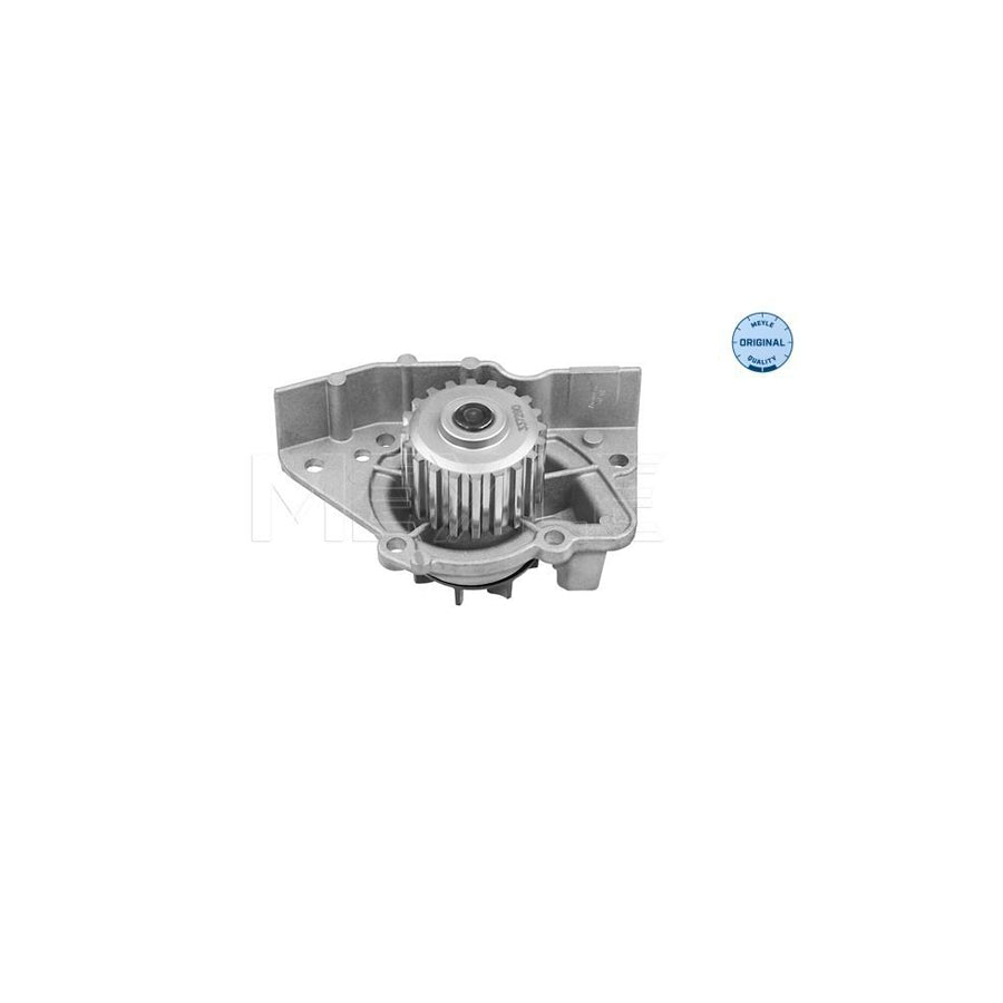 Meyle 11-13 220 0007 Water Pump