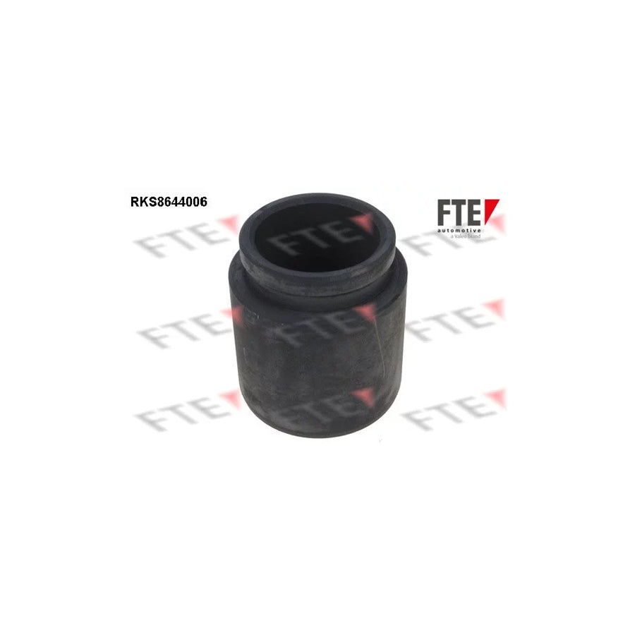FTE 9313381 Piston, Brake Caliper