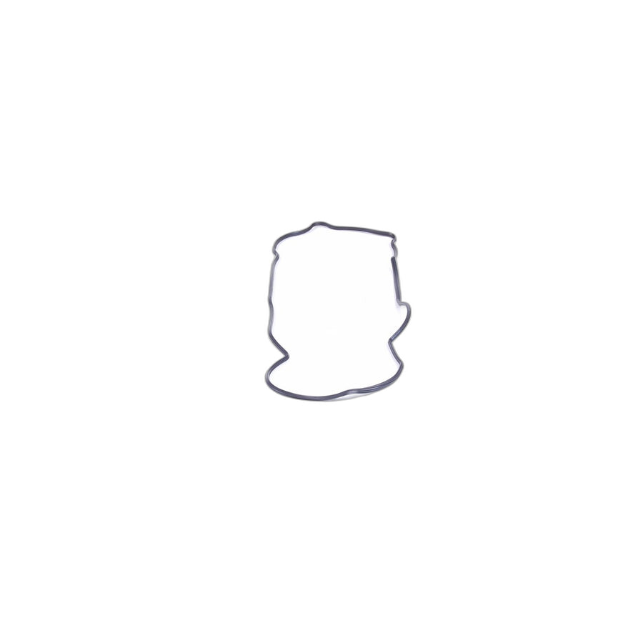 Genuine BMW 11141485162 R50 R53 Profile-Gasket (Inc. One 1.4i, Cooper & Coop.S JCW GP)