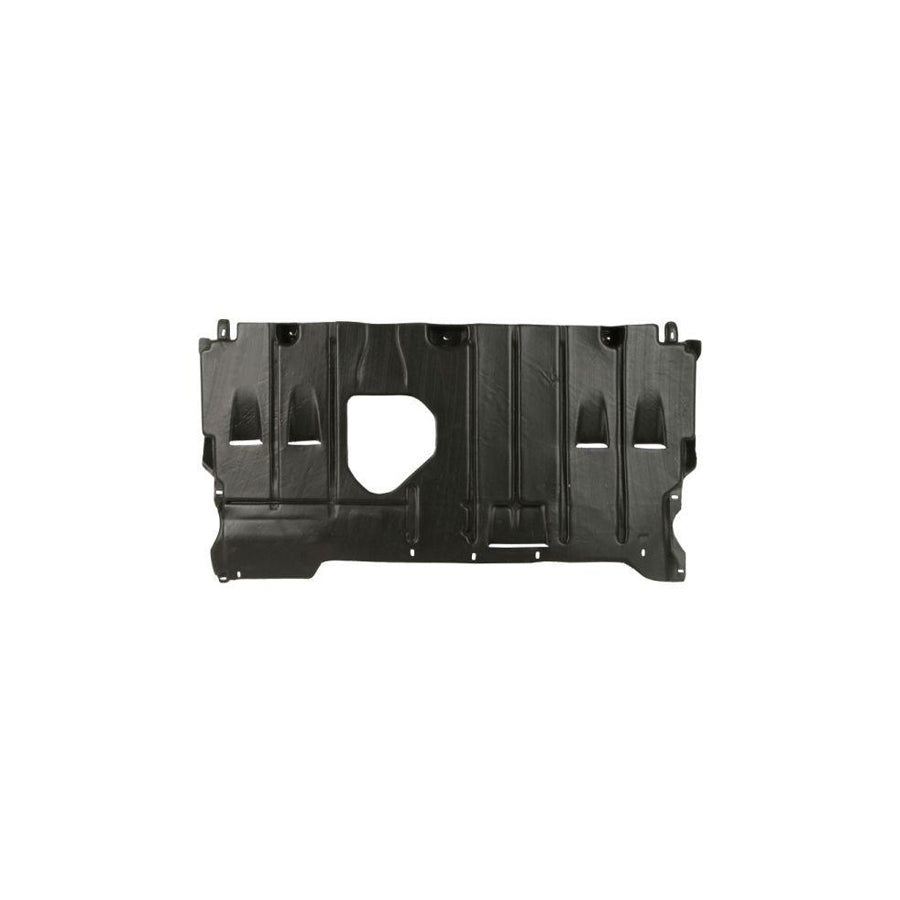 Blic 6601-02-3477860P Engine Cover