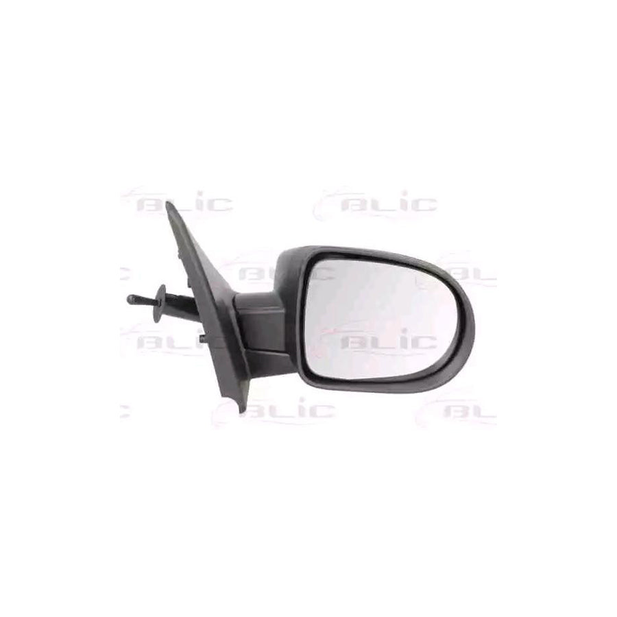 Blic 5402-09-2002116P Wing Mirror for Renault Clio