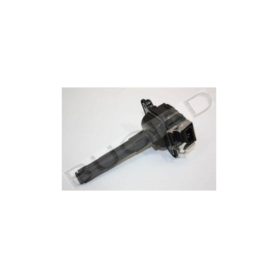 BUGIAD Bsp22202 Ignition Coil