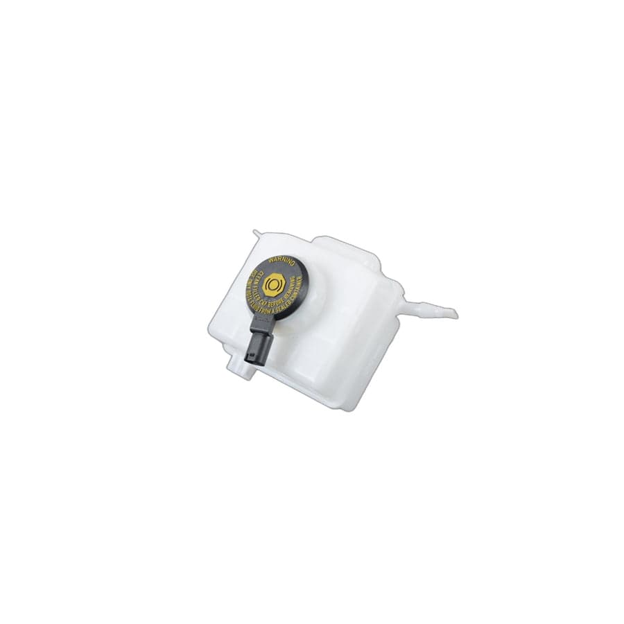 Genuine BMW 34336771718 E70 RR31 Expansion Tank (Inc. Phantom EWB, X5 35dX & X5 M50dX)