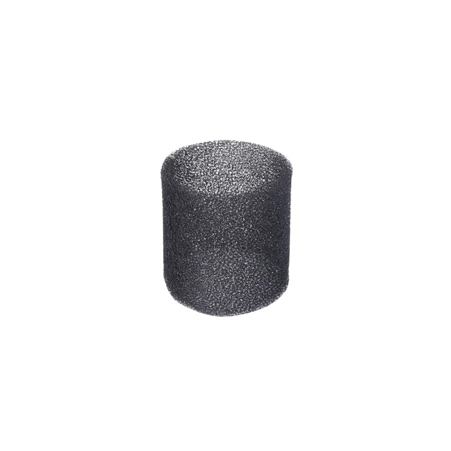 Evolution EVLFOAMFILT R15VAC Foam Filter
