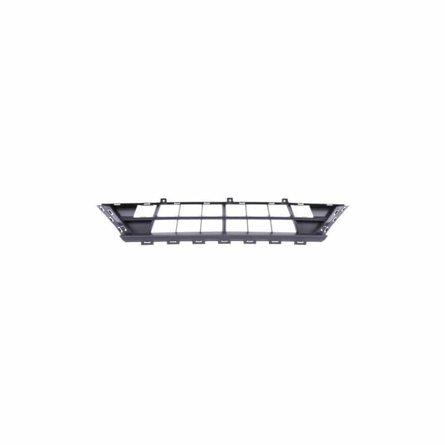 Blic 6502-07-2512995Q Bumper Grill