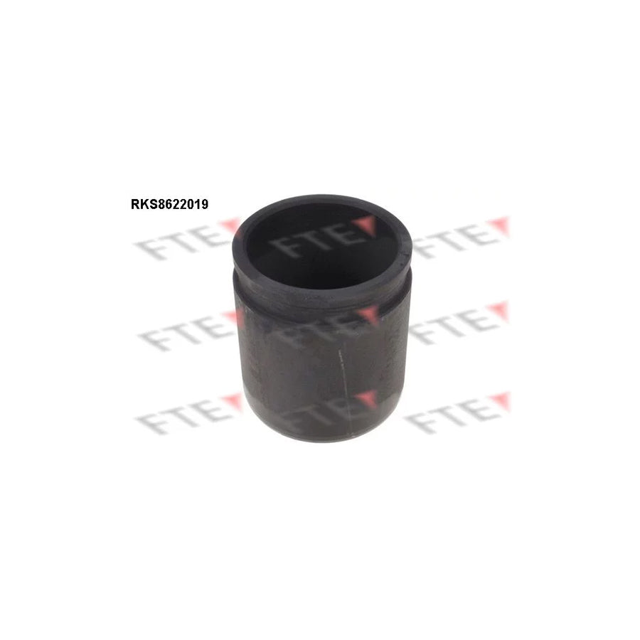 FTE Rks8622019 Piston, Brake Caliper