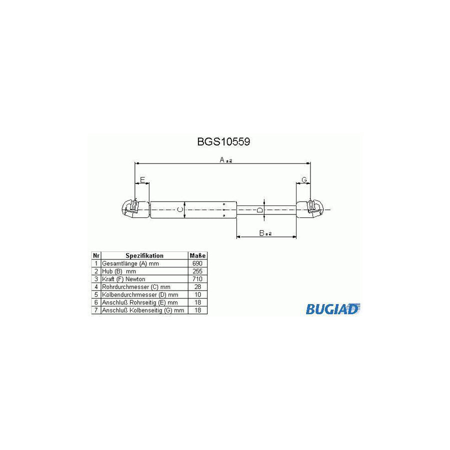 BUGIAD Bgs10559 Tailgate Strut for VW Transporter