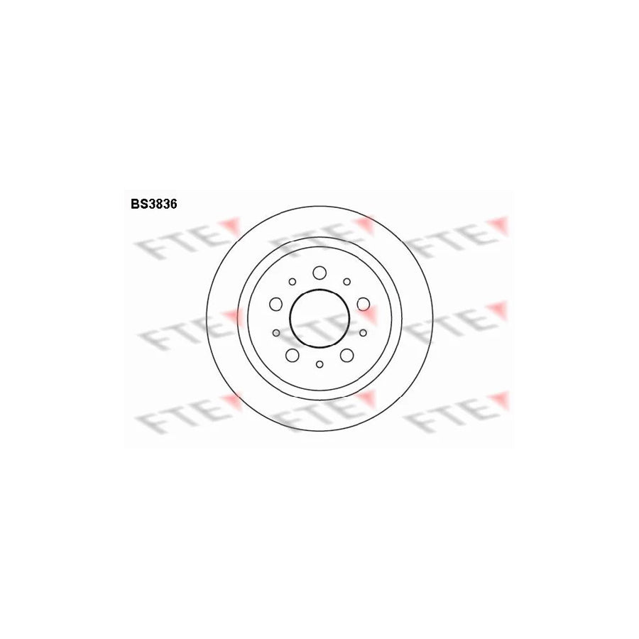FTE Bs3836 Brake Disc