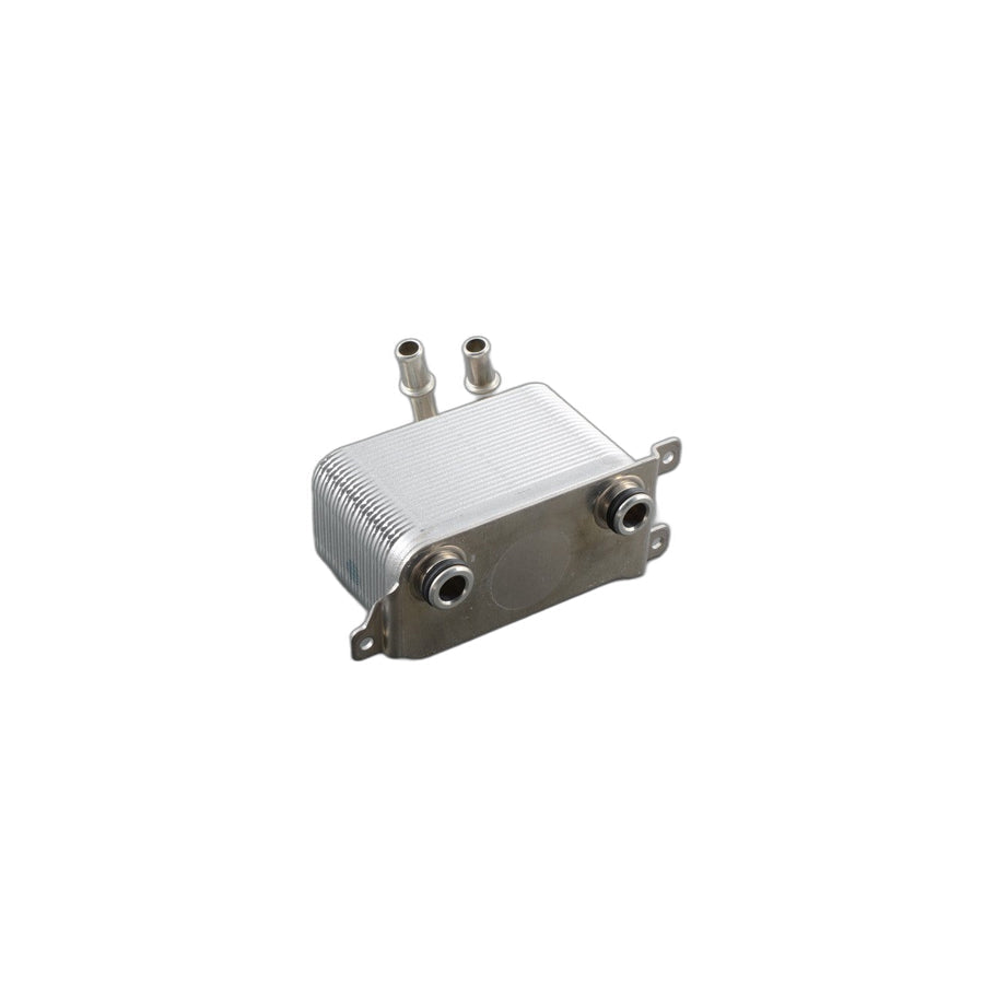 Genuine BMW 17117534896 E60 E63 E64 Heat Exchanger (Inc. 520i, 525xi & 730Li)