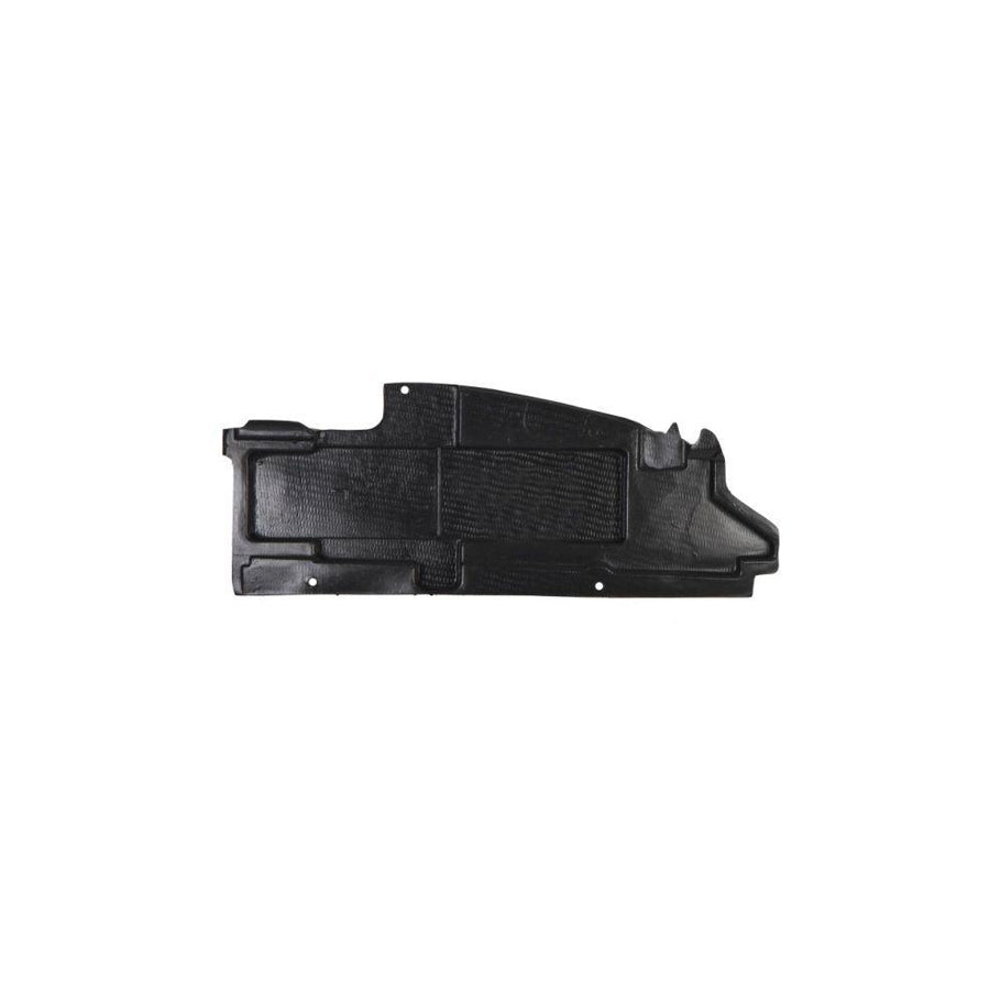 Blic 6601-02-3526871P Engine Cover