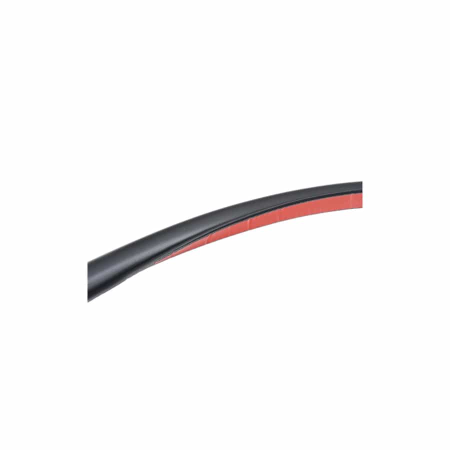 Genuine BMW 51767179104 F02 F04 F03 Door Weatherstrip Rear (Inc. 750LdX, 750LiS & 740LdX)