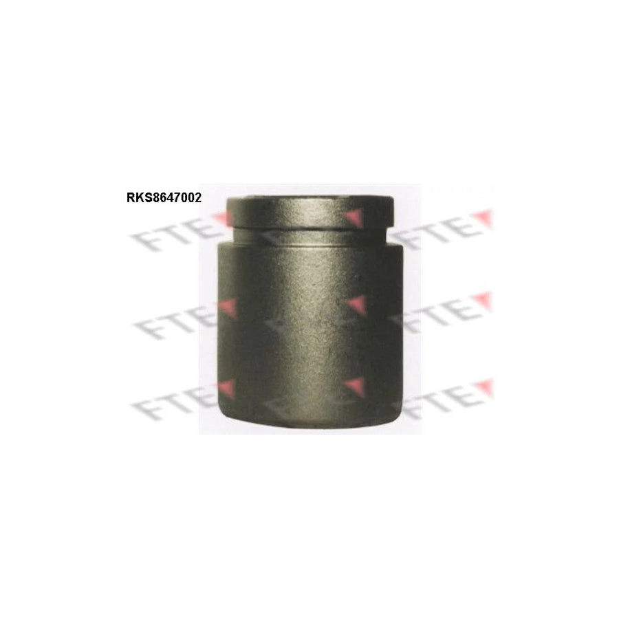 FTE 9313427 Piston, Brake Caliper