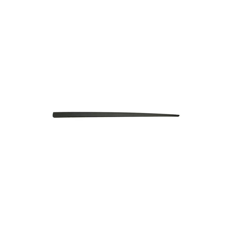 Blic 5703-04-2023562P Door Molding for Fiat Punto II Hatchback (188)