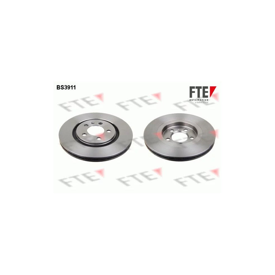 FTE Bs3911 Brake Disc