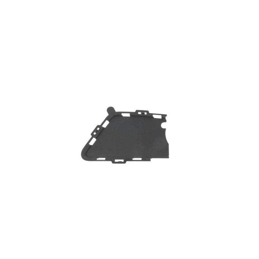 Blic 6502-07-0063913Pm Bumper Grill for BMW 3 Series