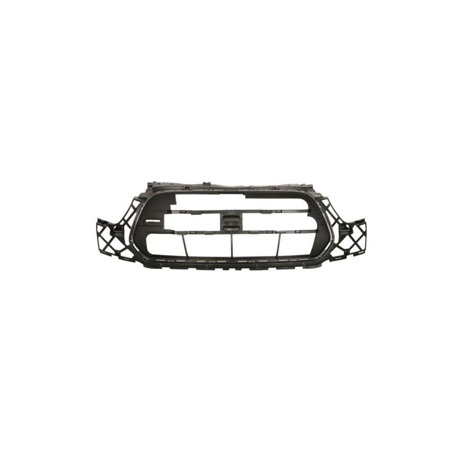 Blic 6502-07-2518995P Radiator Grille for Ford Transit