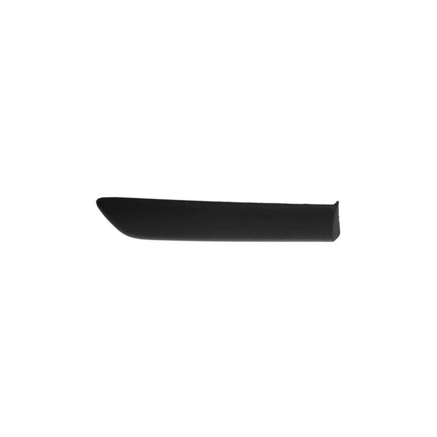 Blic 5703-04-2023462P Trim / Protective Strip, Mudguard for Fiat Punto II Hatchback (188)