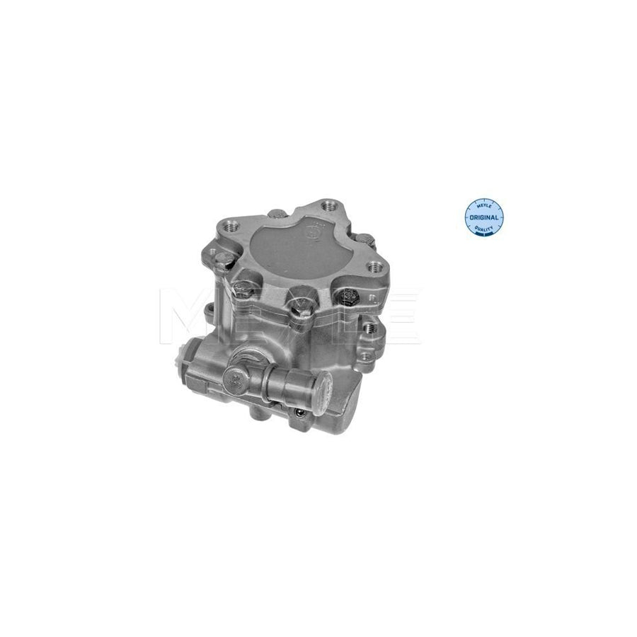 Meyle 114 631 0019 Power Steering Pump For Audi A6