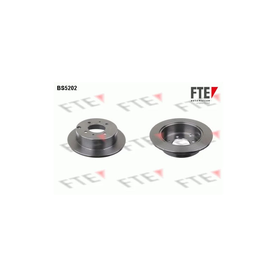FTE 9072299 Brake Disc