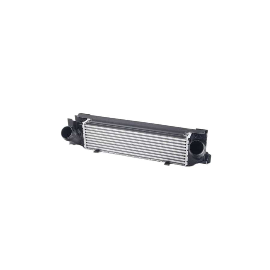 Genuine BMW 17517600531 F34 F87 F21 Charge-Air Cooler (Inc. M235iX, 435iX & Hybrid 3)