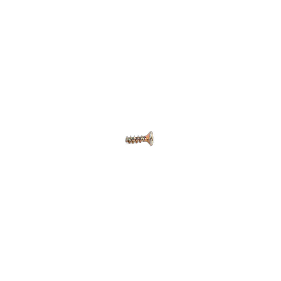 Genuine BMW 07129925827 E36 E46 Screw For Thermoplastic Plastics P-TS3X10-ZN (Inc. 330Cd)