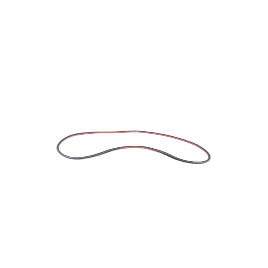 Genuine BMW 51767221844 E71 E72 Door Weatherstrip Rear Right (Inc. X6)