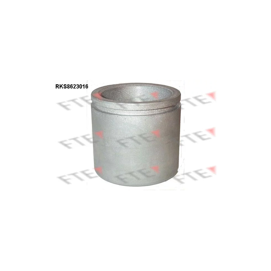 FTE Rks8623016 Piston, Brake Caliper