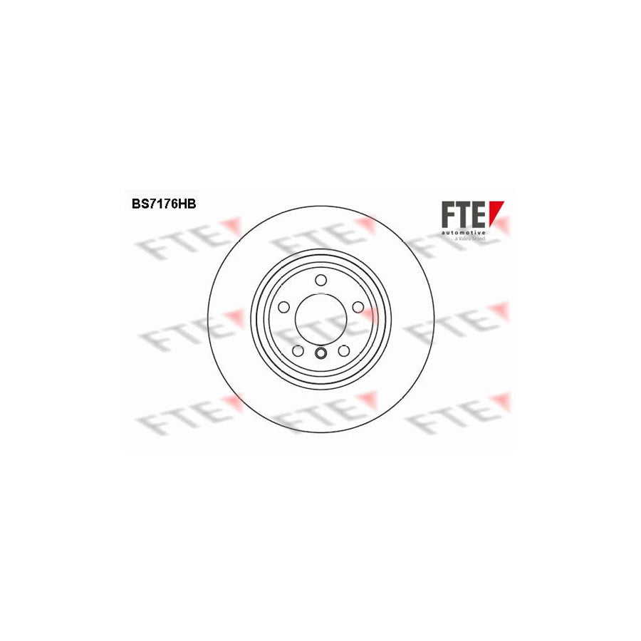 FTE Bs7176Hb Brake Disc for BMW 7 (E65, E66, E67)