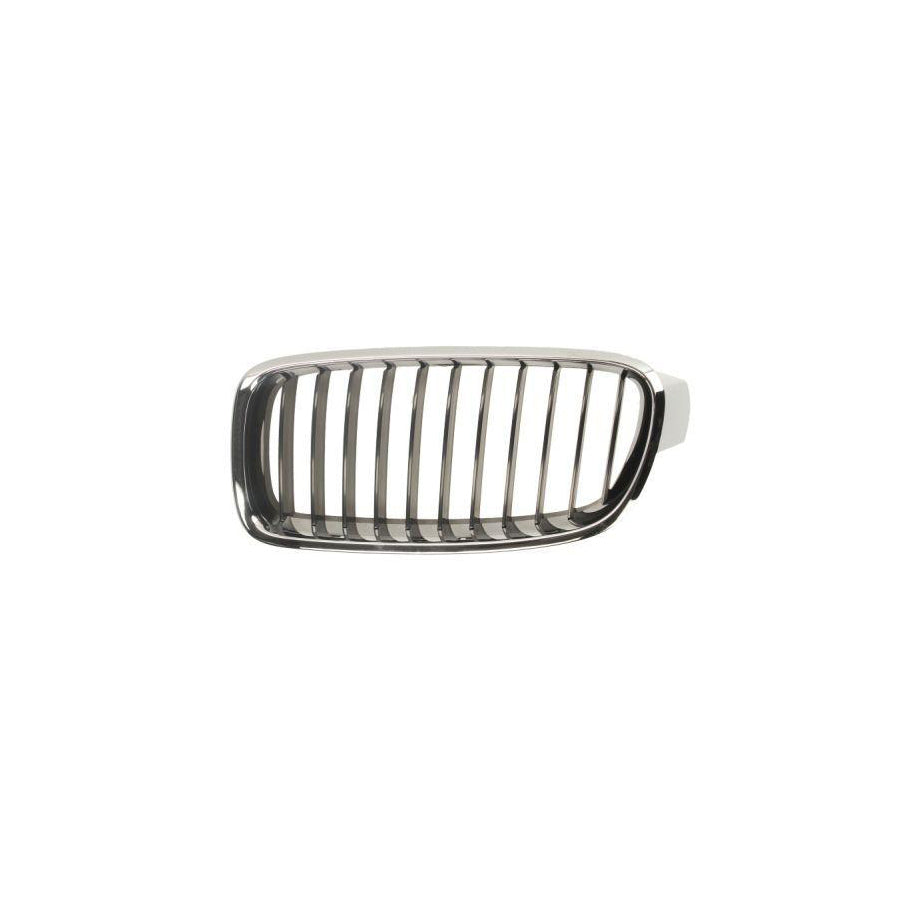 Blic 6502-07-0063991P Radiator Grille for BMW 3 Series