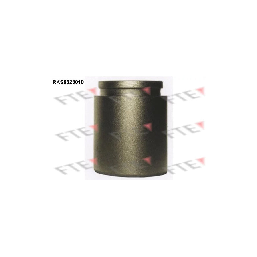 FTE Rks8623010 Piston, Brake Caliper