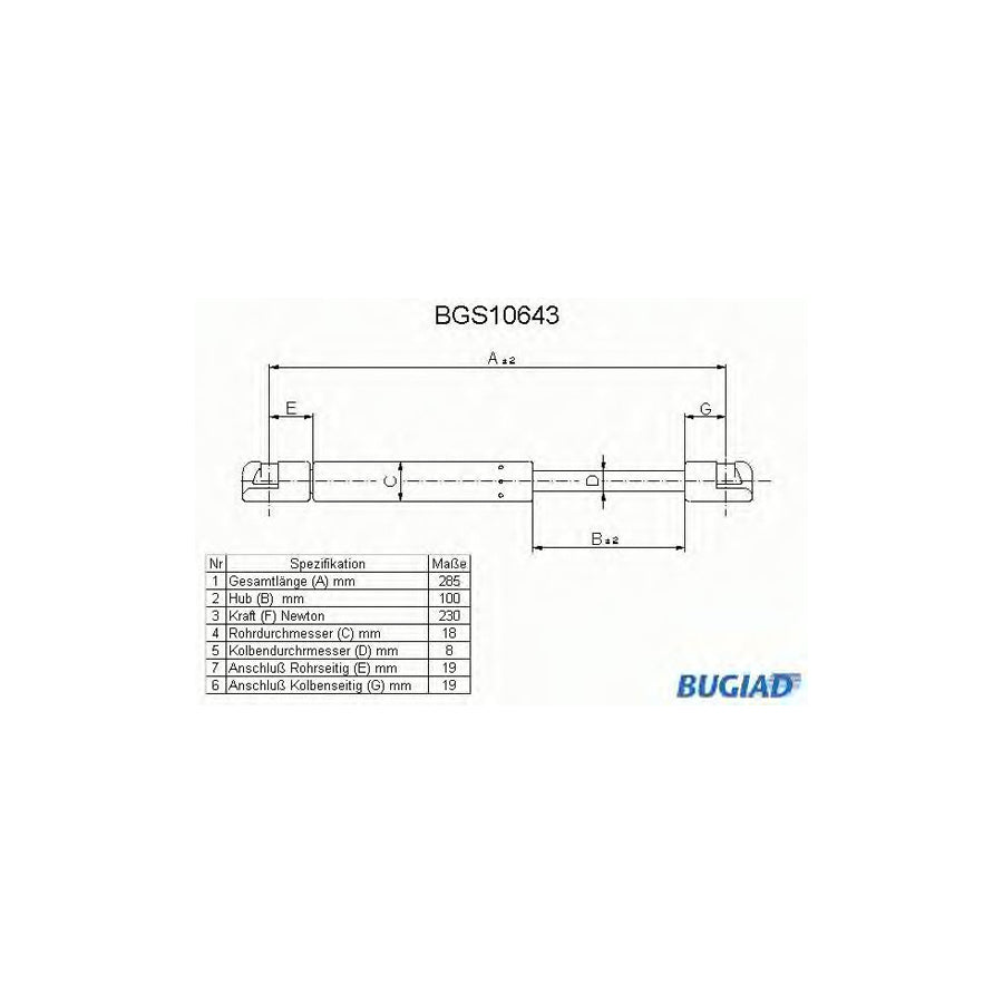 BUGIAD Bgs10643 Tailgate Strut for Ford Escort