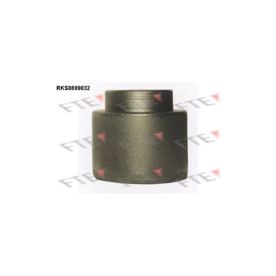 FTE 9313494 Piston, Brake Caliper