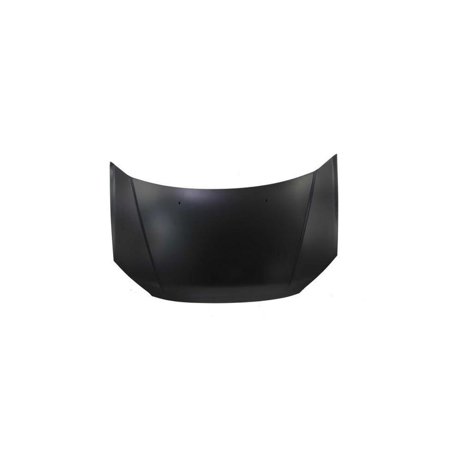 Blic 6803-00-3127280P Bonnet for Hyundai Getz (Tb)