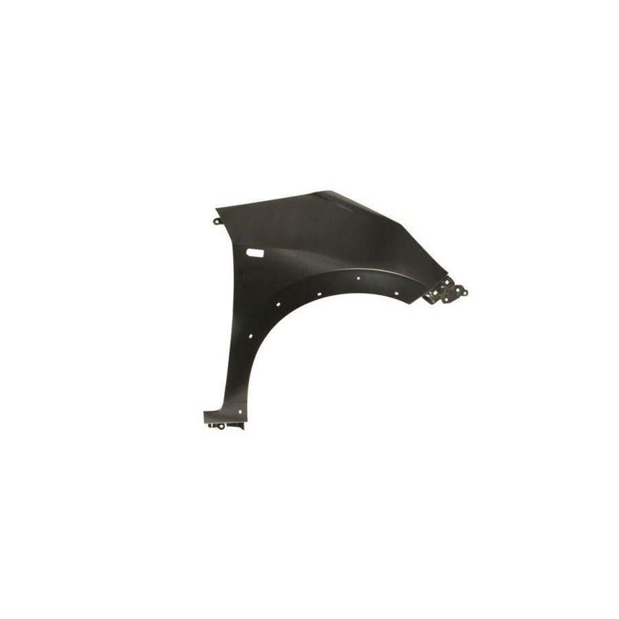 Blic 6504-04-2904318P Wing Fender