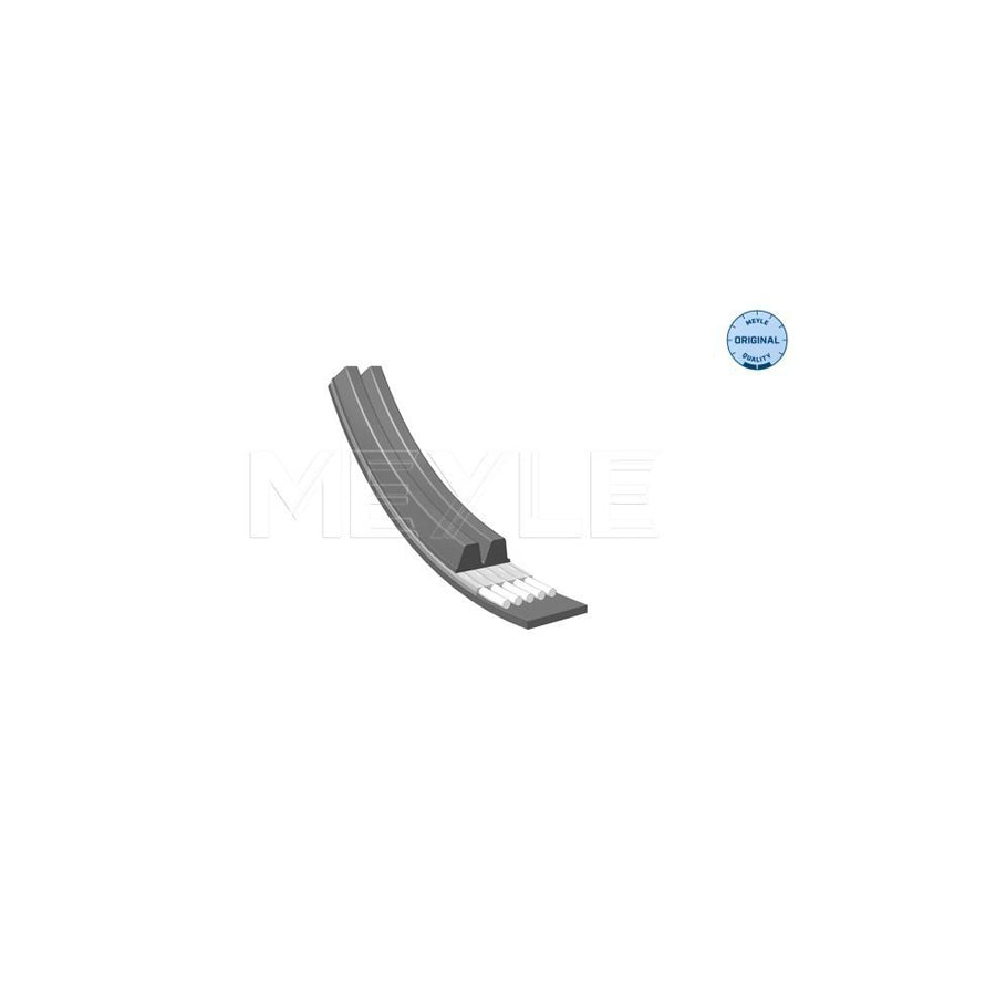 Meyle 050 002 0859 V-Ribbed Belt