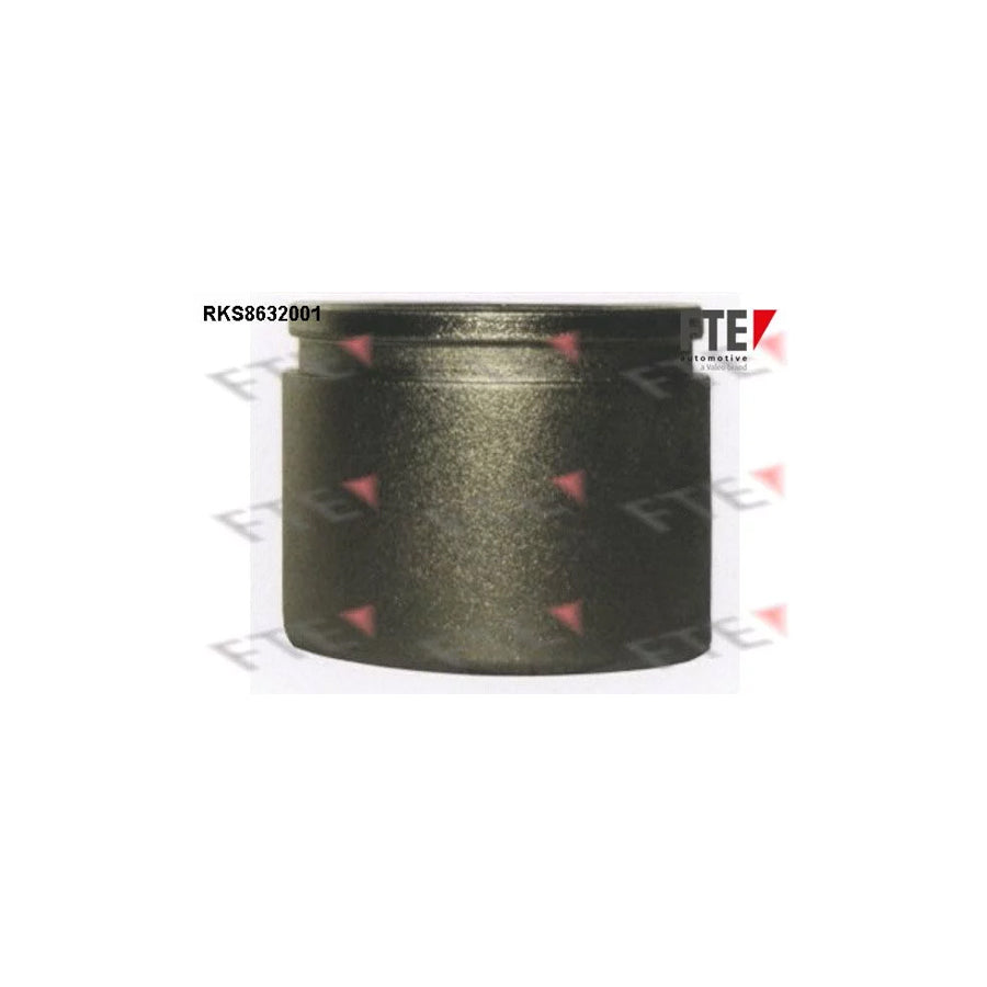 FTE Rks8632001 Piston, Brake Caliper