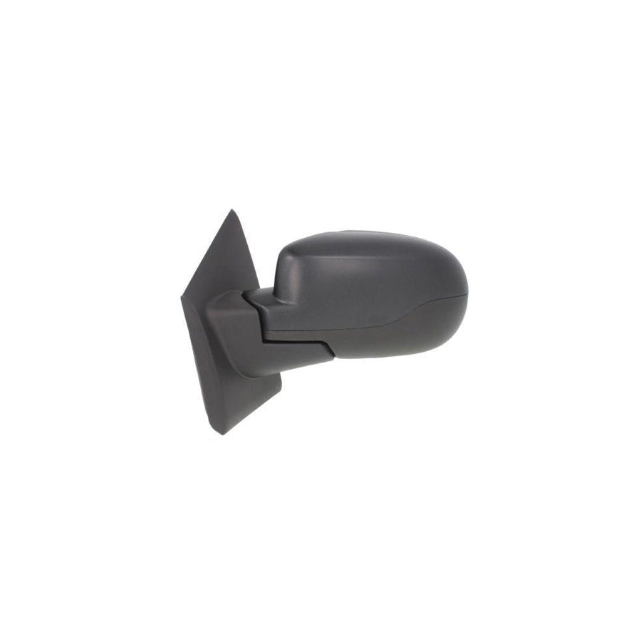 Blic 5402-09-2002235P Wing Mirror for Renault Twingo