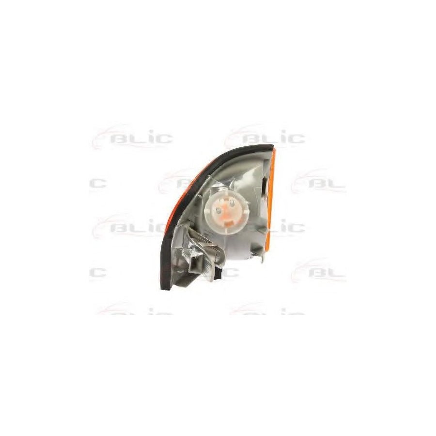 Blic 5403-02-012101P Side Indicator Suitable for Mercedes-Benz C-Class