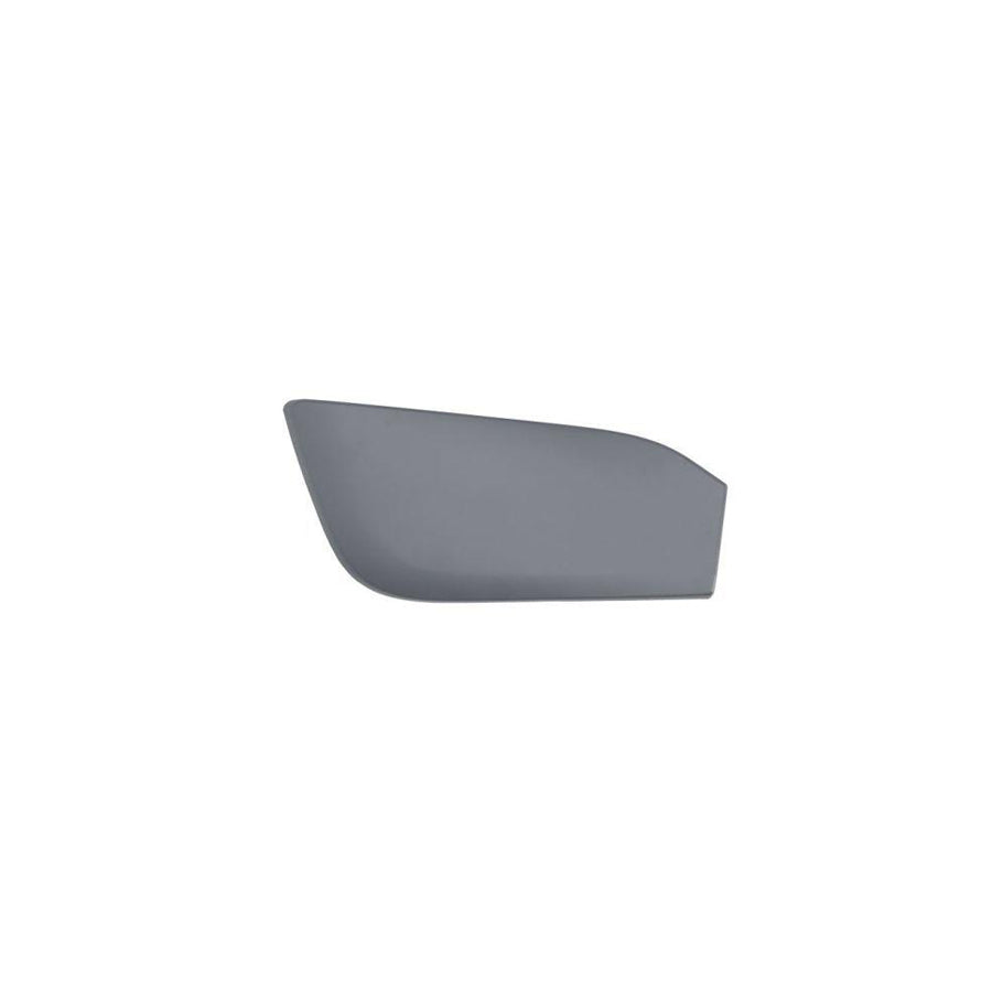 Blic 5513-00-0095972P Bumper Moulding for BMW X5 (E53)
