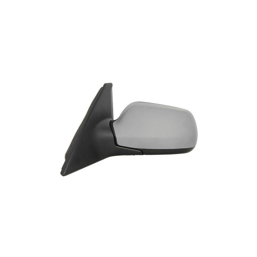 Blic 5402-04-1139991 Wing Mirror for Mazda 3