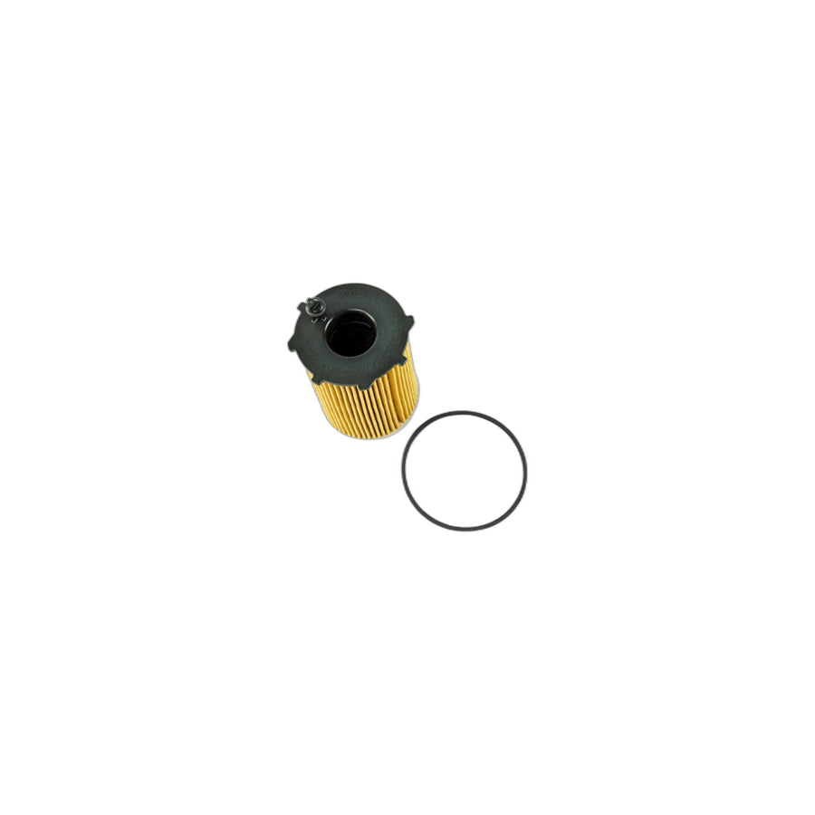 Genuine BMW 11427805978 R56 Set Oil-Filter Element (Inc. Cooper D & One D)