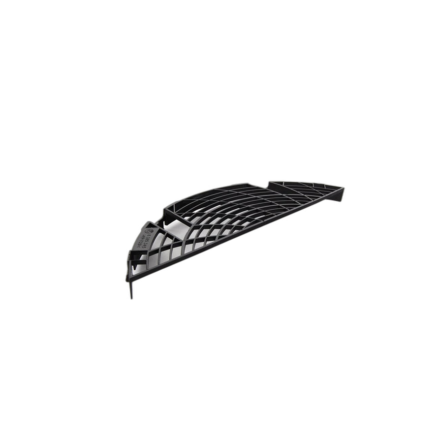 Genuine BMW 64548385345 E46 Lower Protection Grid F Additional Fan (Inc. 320Cd, 330i & 318d)