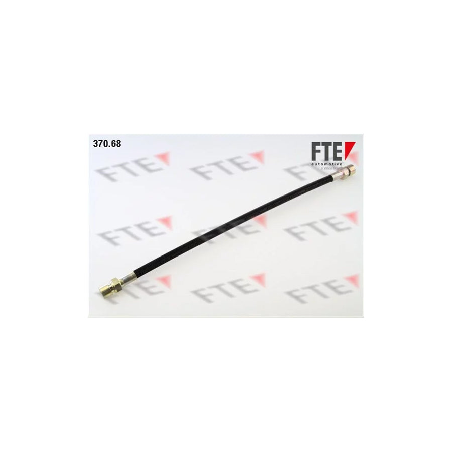 FTE 9741030 Brake Hose