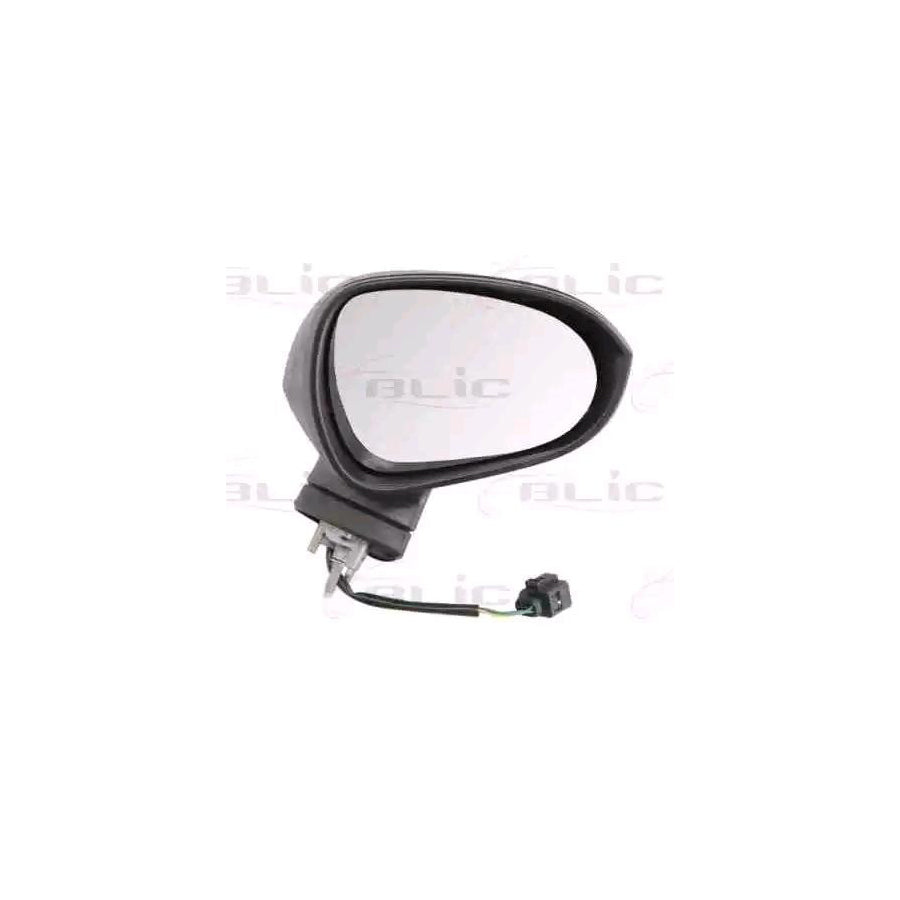 Blic 5402-10-2002292P Wing Mirror for Seat Leon II Hatchback (1P1)