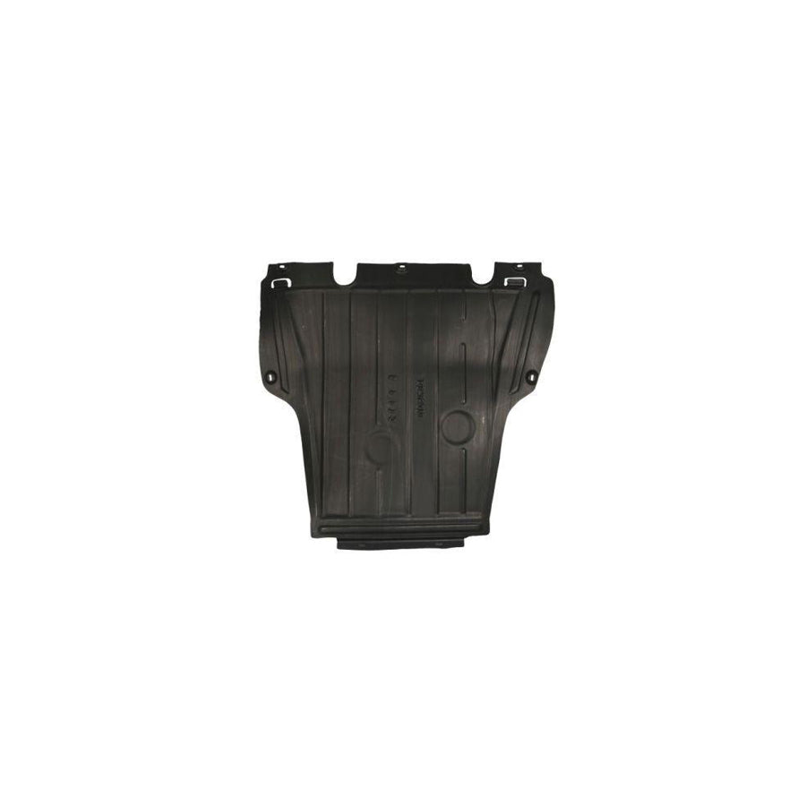 Blic 6601-02-6009860P Engine Cover
